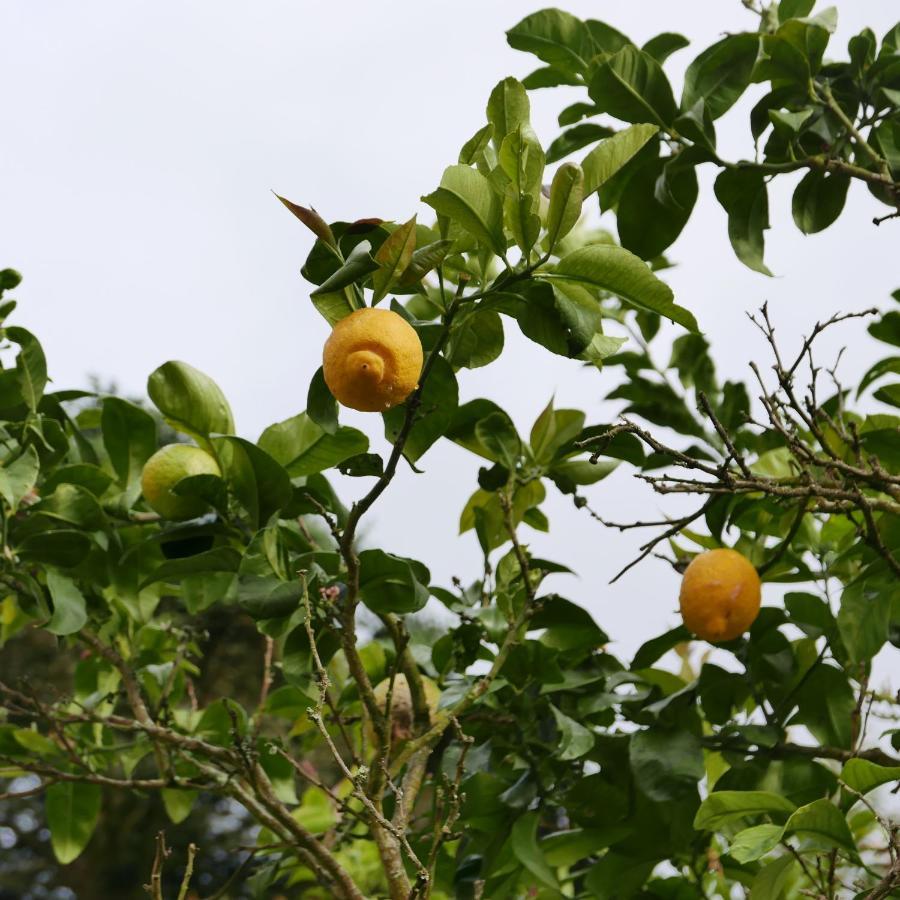 Espaco Origem Sintra Exteriör bild